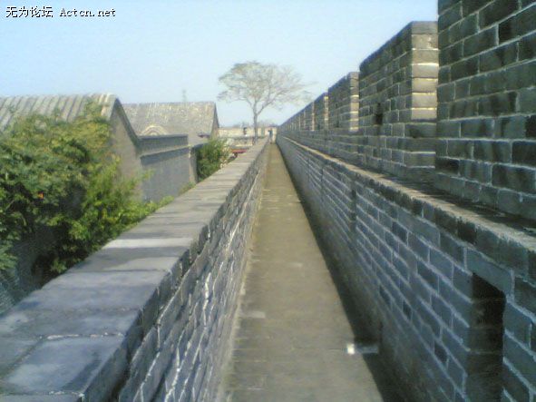 Image(019).jpg