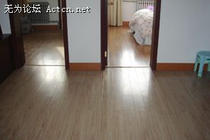 DSC01459.JPG
