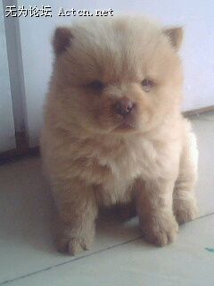 IMG0082A.jpg