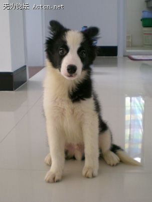 DSCN0814.jpg