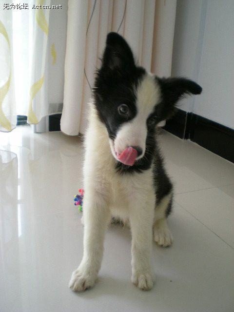 DSCN0780.jpg