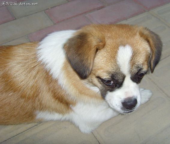 02.jpg