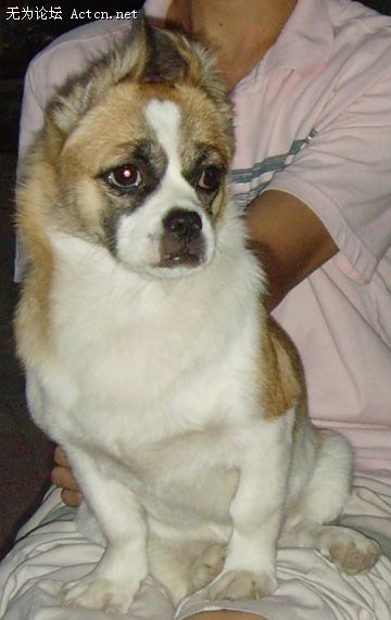 05.jpg