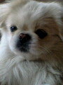 IMG0057A.jpg
