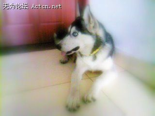 SP_A0068.jpg