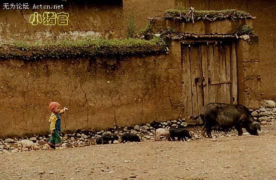 103483--embed.jpg