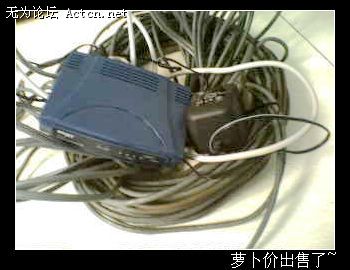 IMG0461A.jpg