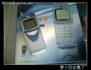 IMG0462A.jpg