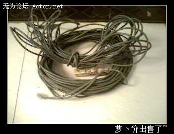 IMG0455A.jpg