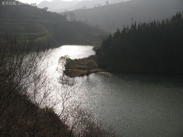 111.jpg