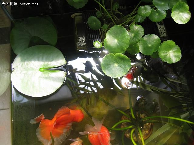 20070411_bad22b6db427288a0ee09GaWmm6oX9iy.jpg