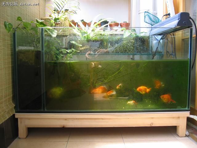 20070411_de3201d00271f4aa58ebWaq4pXTD1OSe.jpg