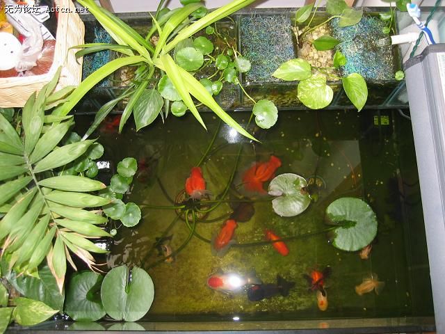 20070411_a442ba7b093af96b4f67aVTYFC5AKnEU.jpg
