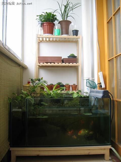 20070411_b29ec8f935b6ba8ac0f5EVmtP5VxjUyd.jpg