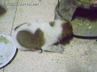 IMG0515A.jpg