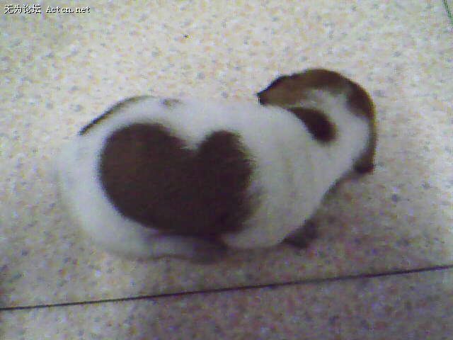 IMG0508A.jpg