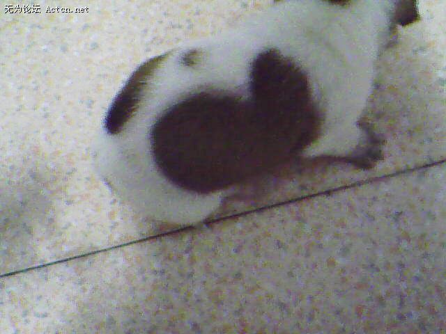 IMG0507A.jpg
