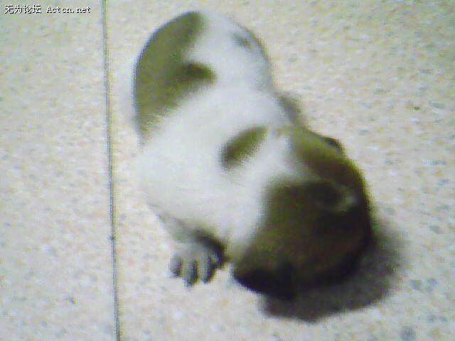IMG0509A.jpg