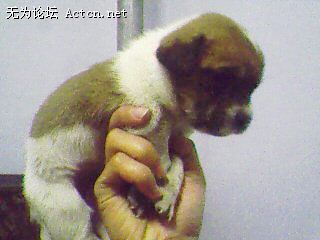 IMG0519A.jpg