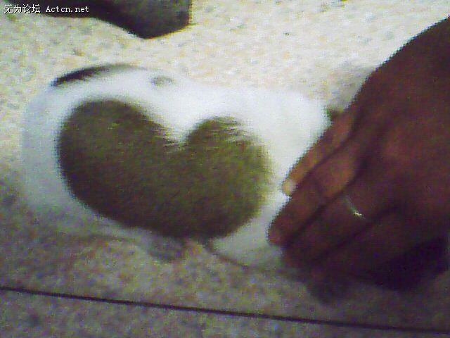 IMG0513A.jpg