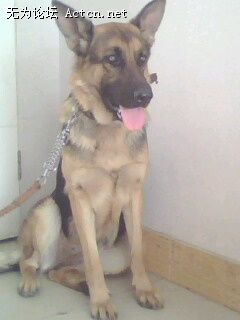 IMG0098A.jpg
