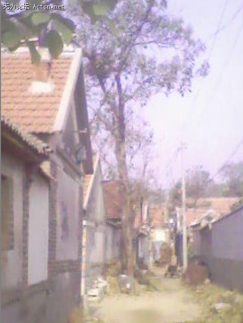 ݺֻĲãϱҶӶûˣǻǵĹż