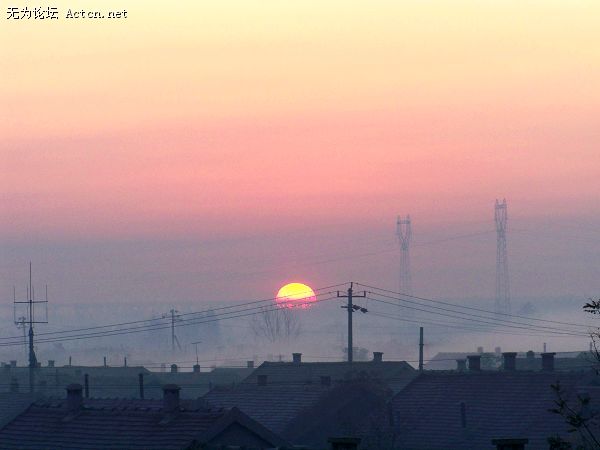 100_52731.jpg