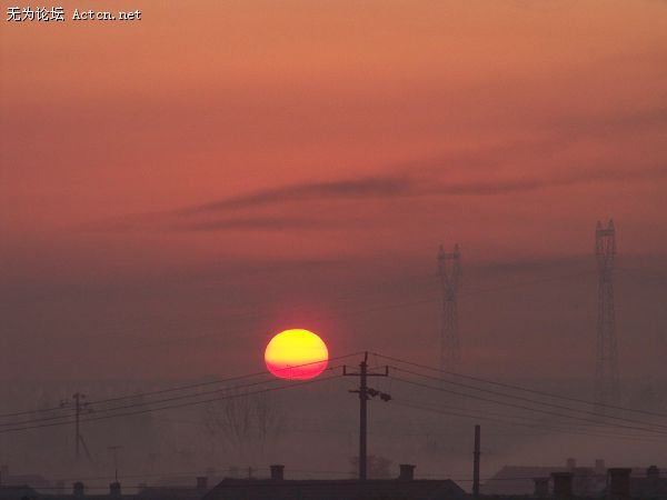 100_52781.jpg