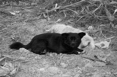 1_27201001.jpg