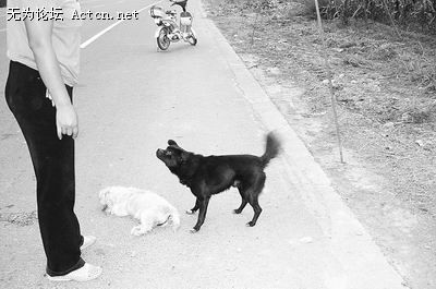 1_27201429.jpg