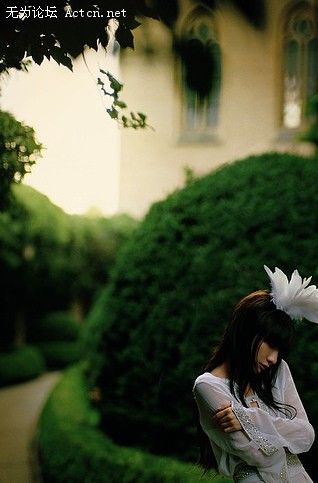 10515792008t.jpg