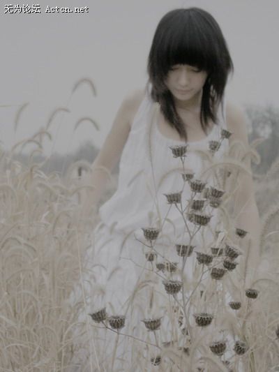 105345892008t.jpg