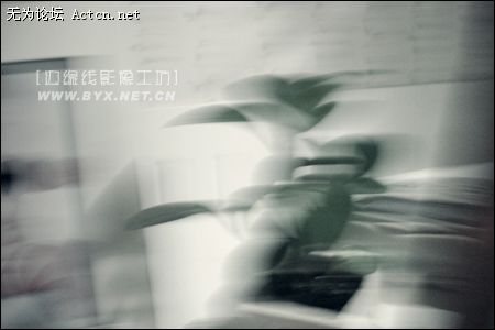 03.jpg