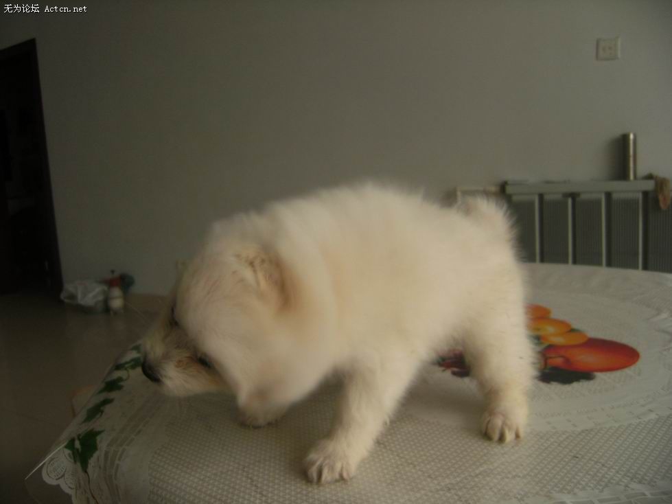 DSCF3727.JPG