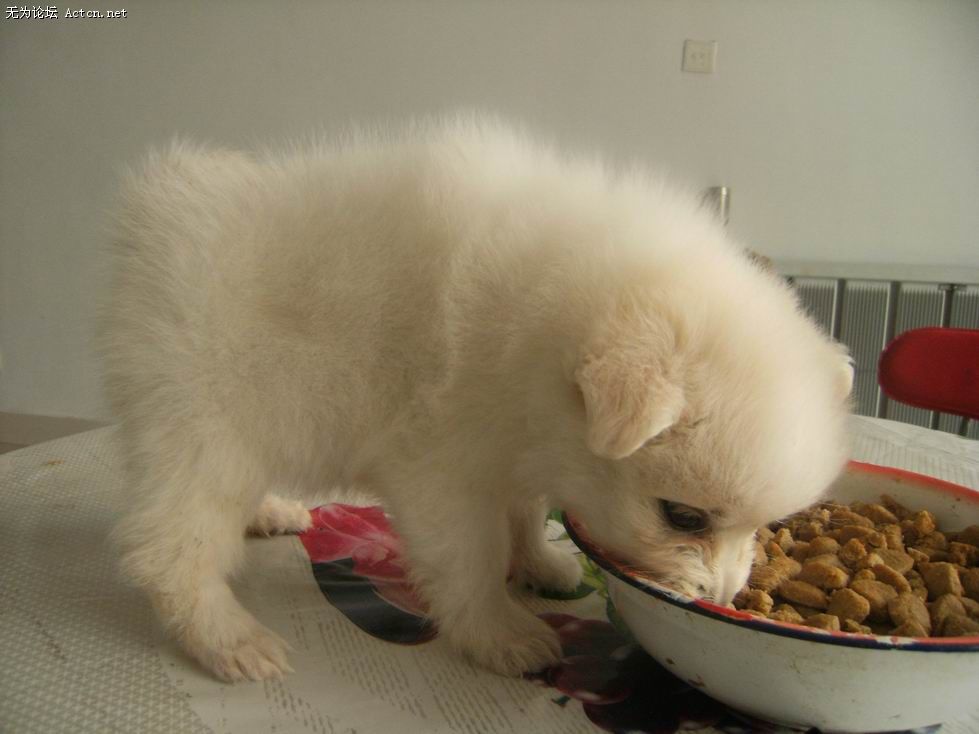 DSCF3730.JPG