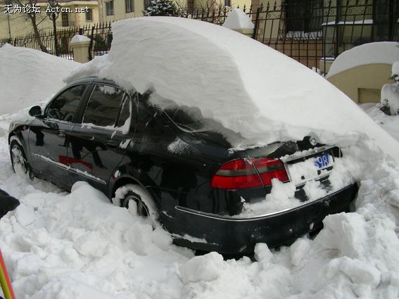 2008130158937.jpg