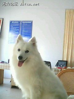 IMG0006A.jpg