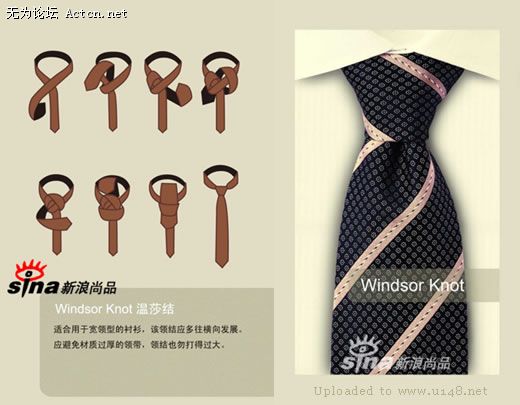 The Windsor Knot ɯ