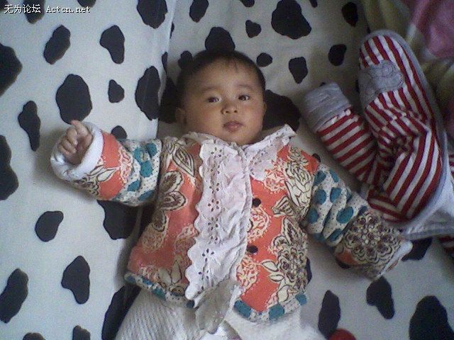 Ƭ-0017.jpg