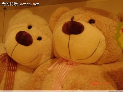 A008946265042GAR.jpg
