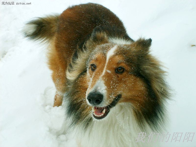 nEO_IMG_S5002823.jpg