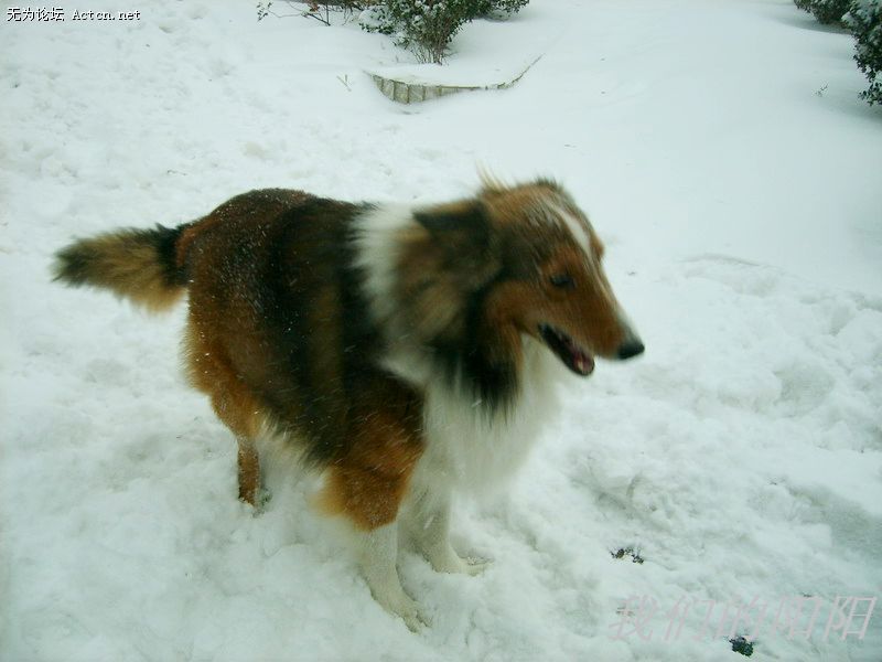 nEO_IMG_S5002802.jpg