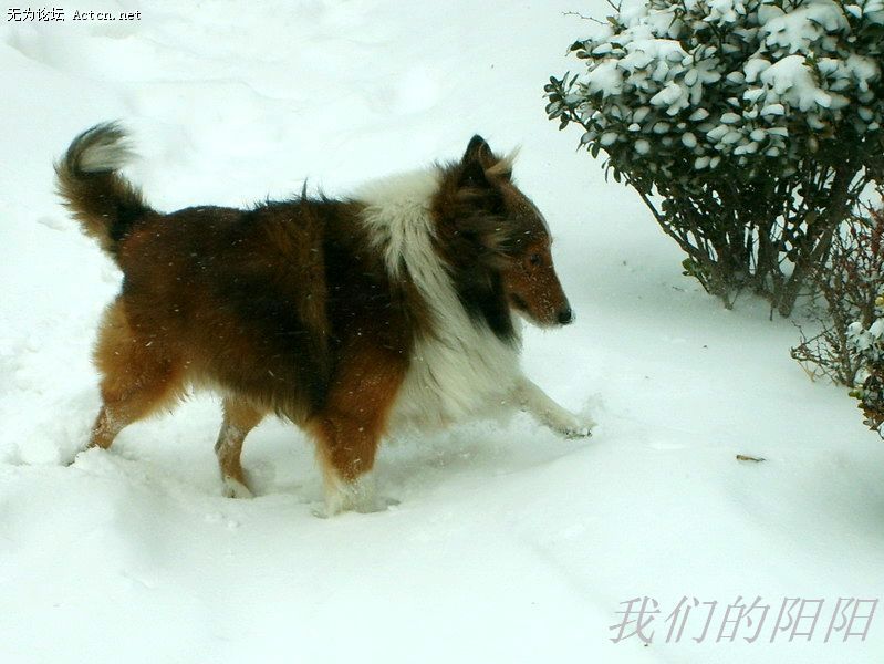 nEO_IMG_S5002827.jpg