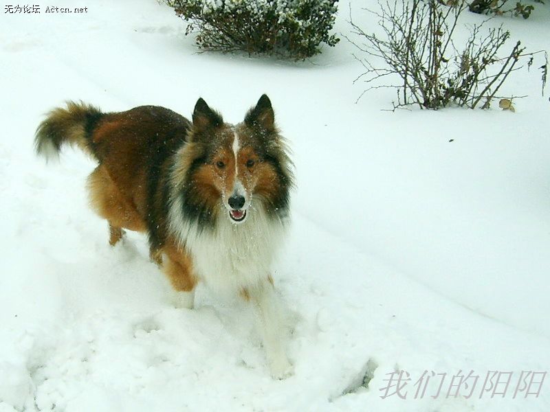 nEO_IMG_S5002830.jpg