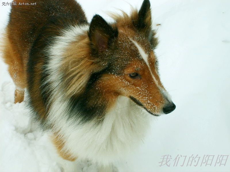 nEO_IMG_S5002822.jpg