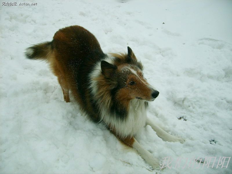nEO_IMG_S5002803.jpg
