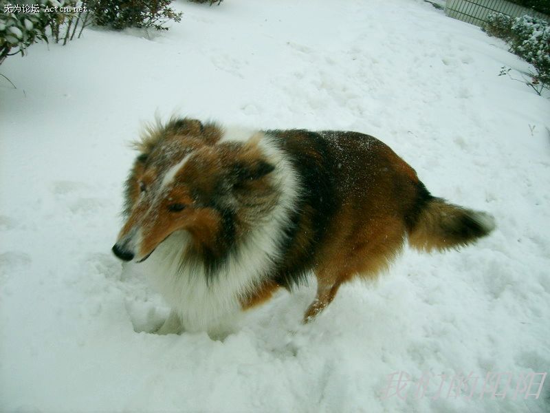 nEO_IMG_S5002804.jpg
