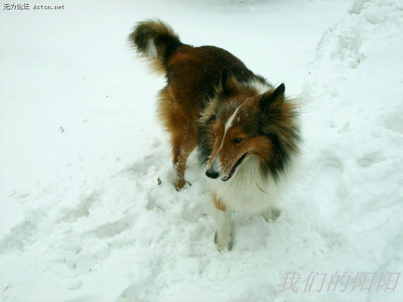 nEO_IMG_S5002809.jpg