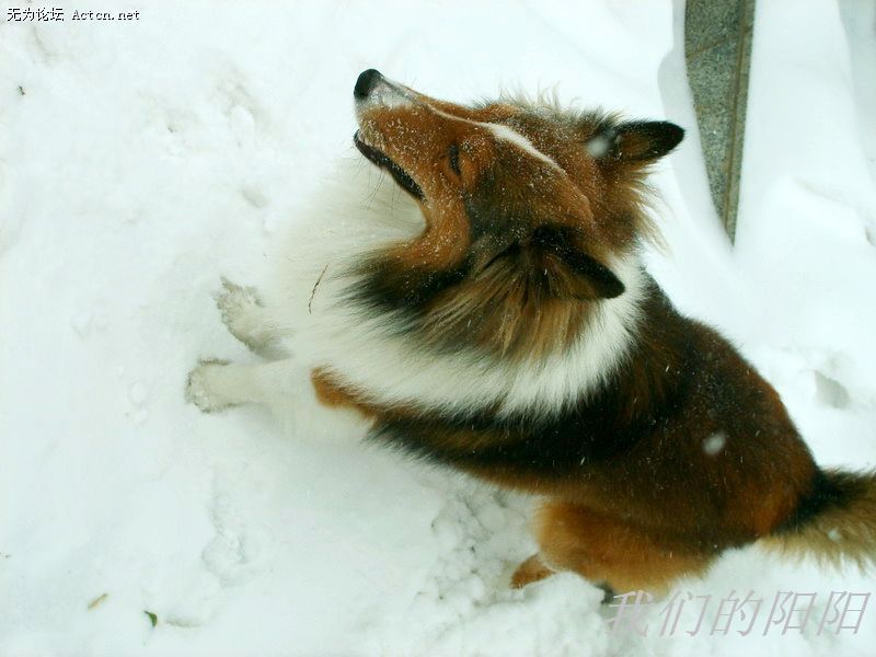 nEO_IMG_S5002820.jpg