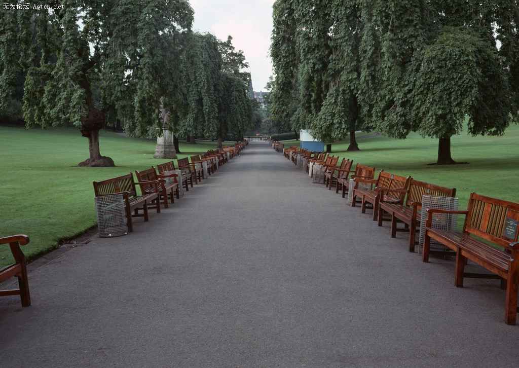dlbk095.jpg